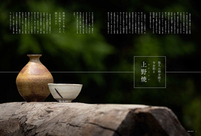 ソワニエプラス制作協力パンフレットが「地域プロモーションアワード2025 パックン賞」を受賞