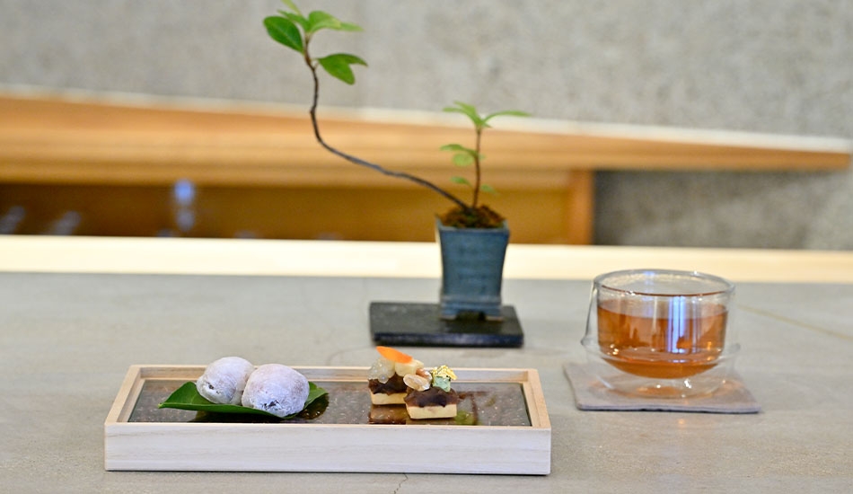 ソワニエ+ vol.96 2026年春号