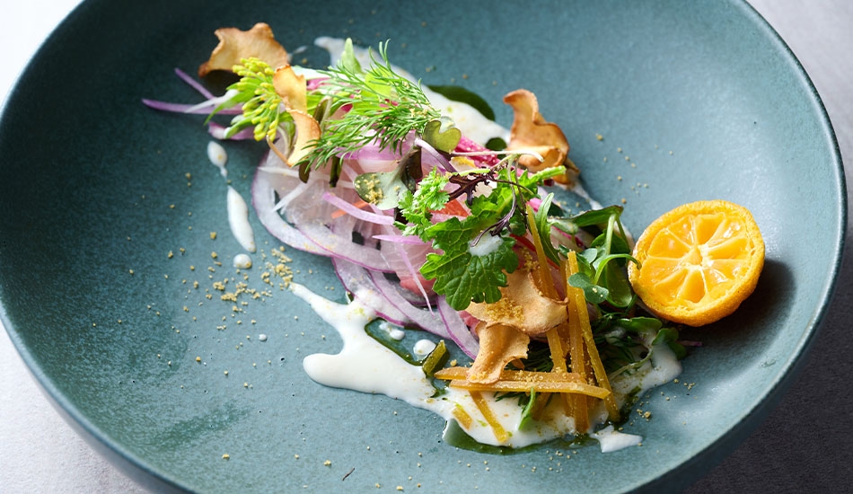 ソワニエ+ vol.96 2026年春号